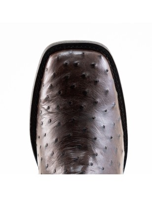 BOTIN AVESTRUZ ORIGINAL PLATINO SQUARE P0055MI CUERO/INJERTO CAFE WELT 3.5CM 17CM